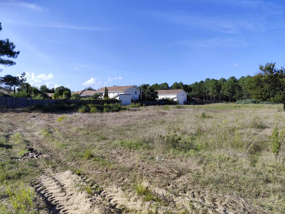 Terrain - Terrain à bâtir Vensac (33590) à Vensac, prix 172 500 €