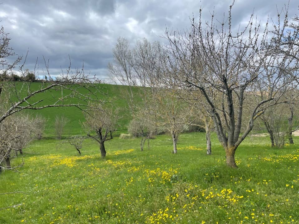 Terrain - Terrain à bâtir Le Cabanial (31460) à Le Cabanial (31), prix 35 000 €