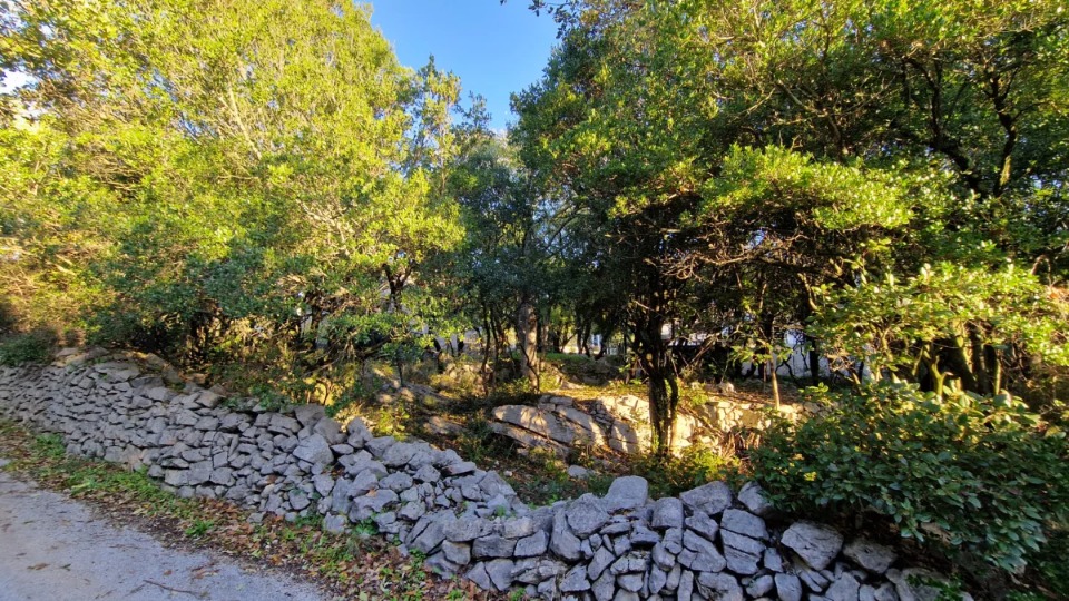 Terrain - Terrain à bâtir Saint-Martin-de-Londres (34380) à Saint-Martin-de-Londres (34), prix 197 000 €