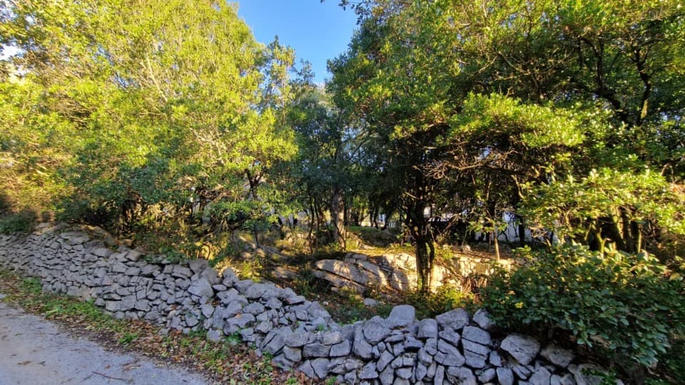 Terrain - Terrain à bâtir Saint-Martin-de-Londres (34380) à Saint-Martin-de-Londres (34), prix 197 000 €