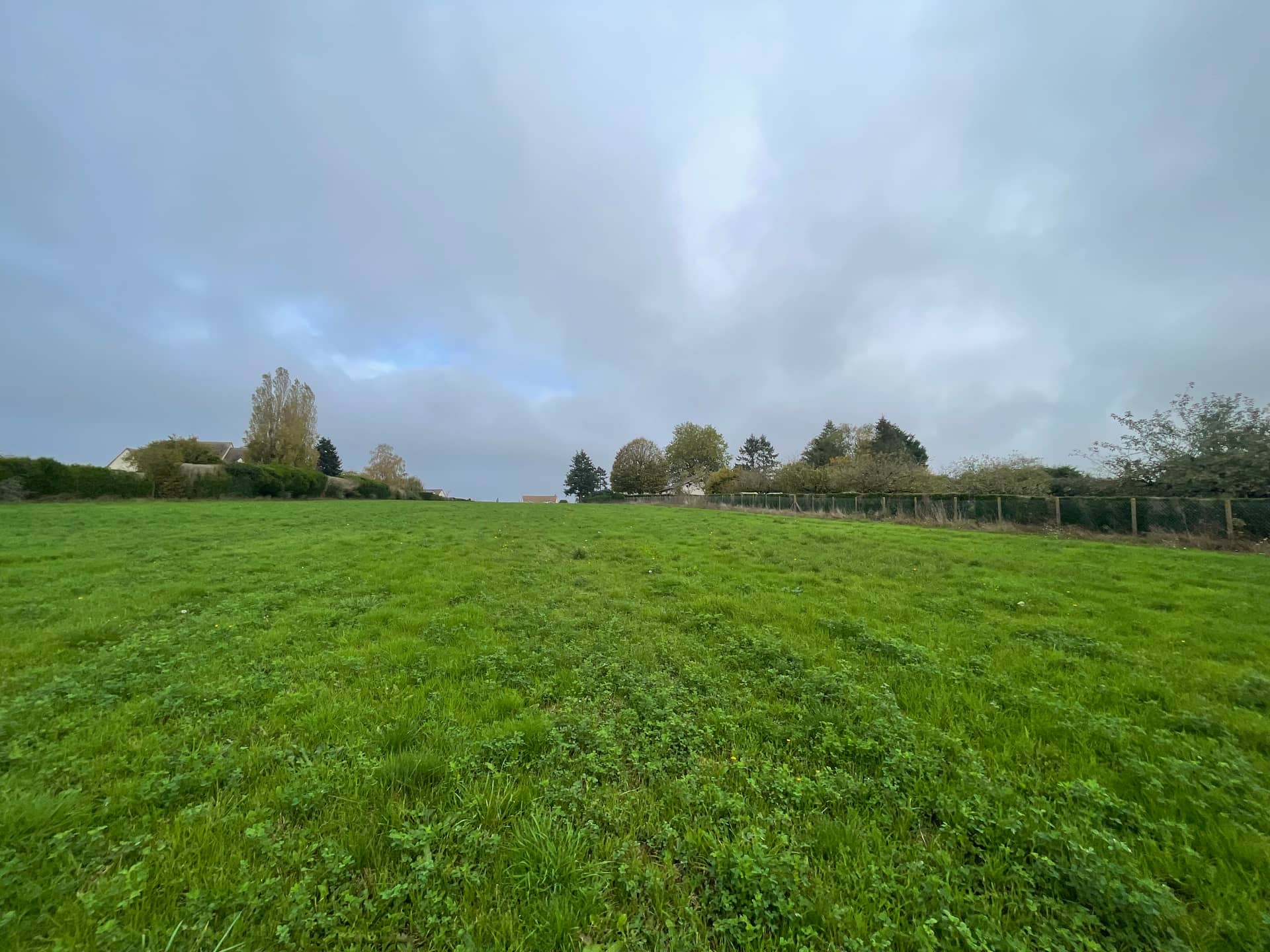 Terrain - à Dammarie (28), prix 60 000 €