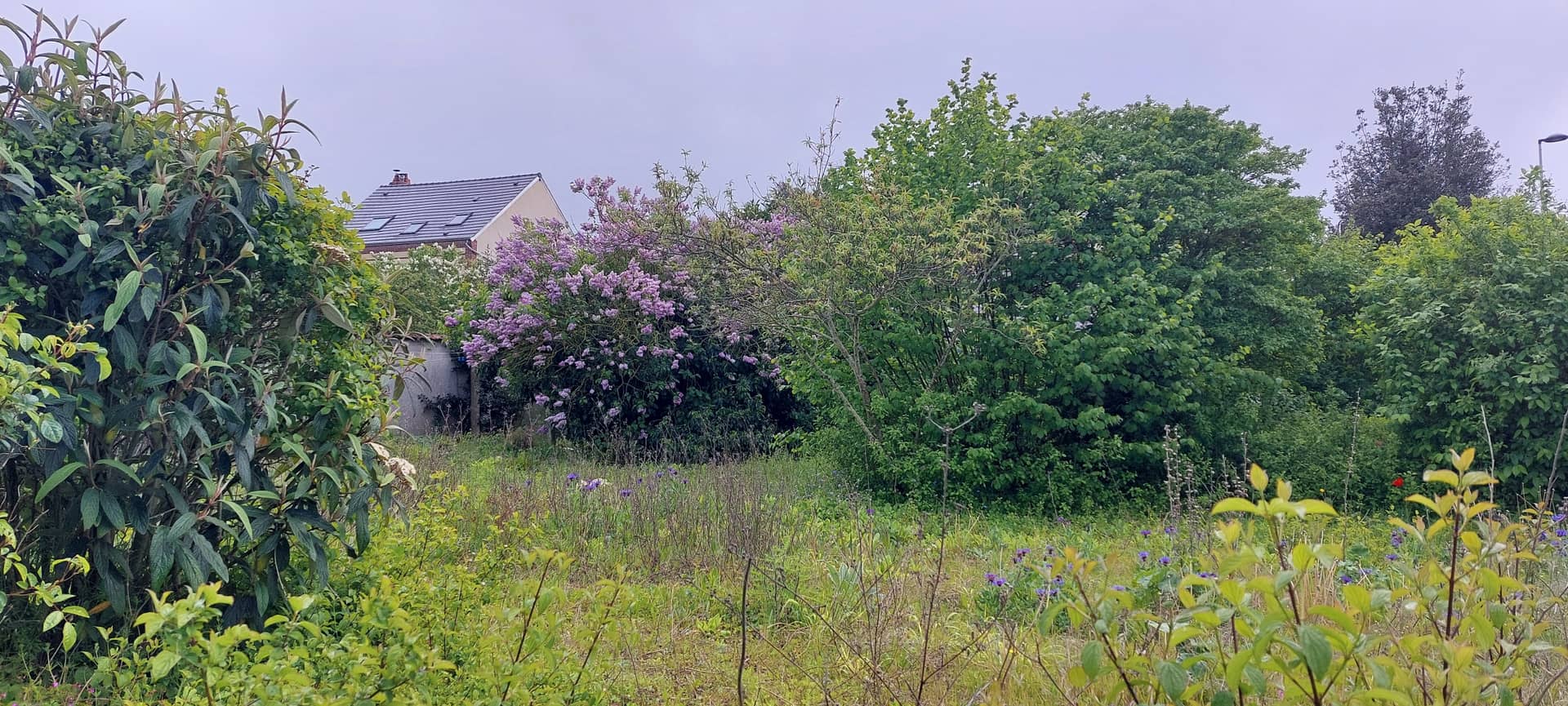 Terrain - Terrain Chartres centre / opportunité à ne pas louper à Chartres (28), prix 105 000 €