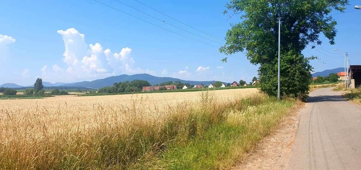 Maison neuve Epfig (67) - 100m² - 310000€ (photo 2/3)
