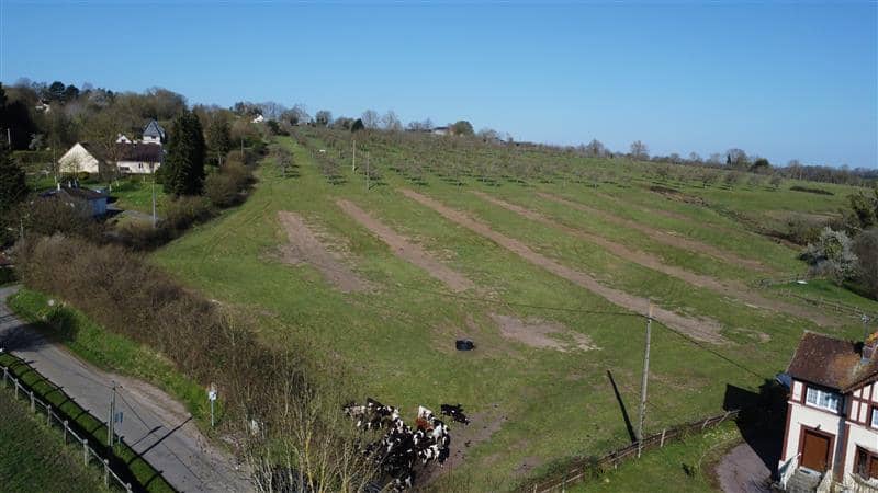 Terrain - Terrain Cambremer à Cambremer (14), prix 95 000 €