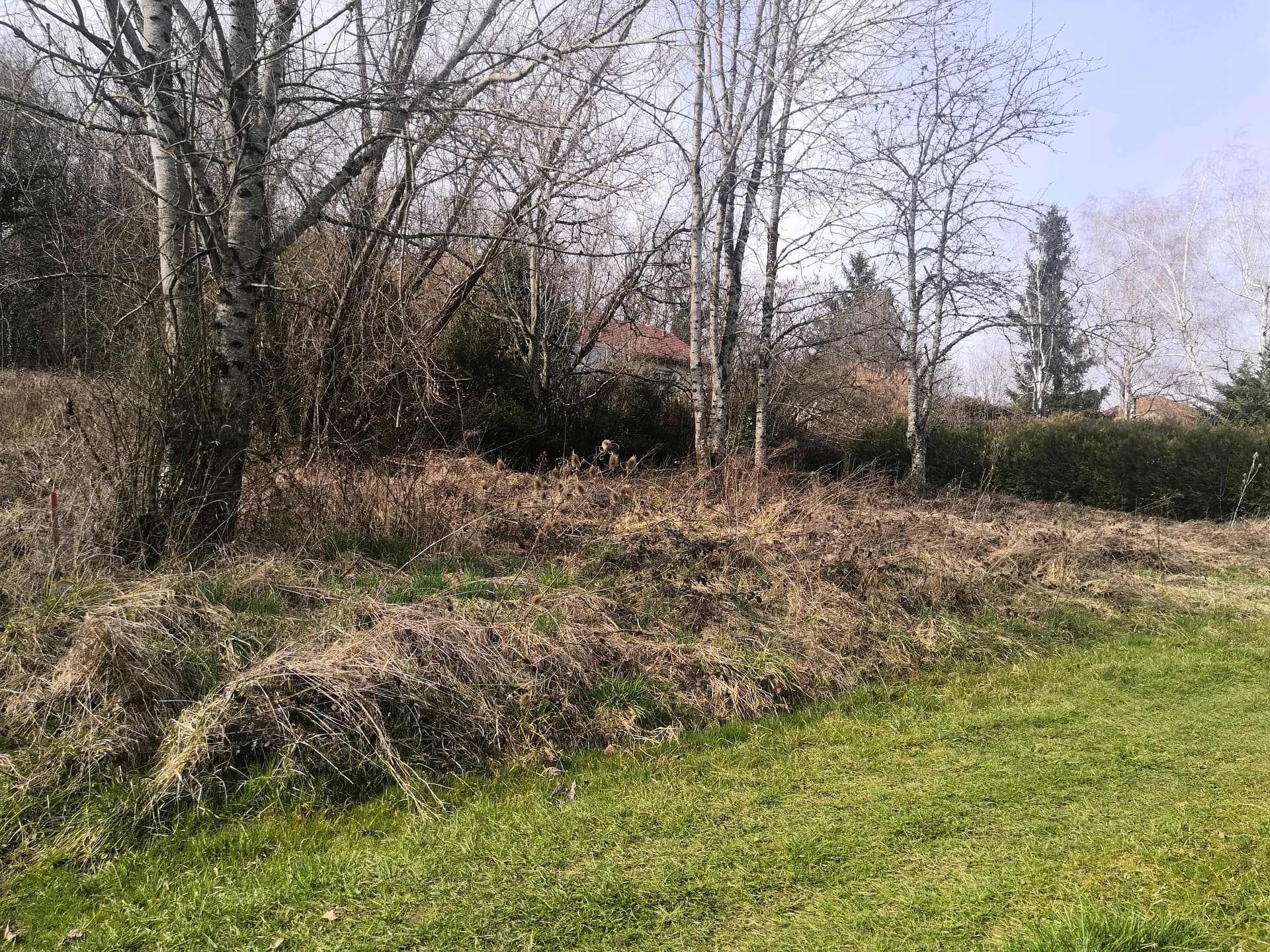 Lotissement Lons le saunier (39) - 550m² - 63000€ (photo 4/6)