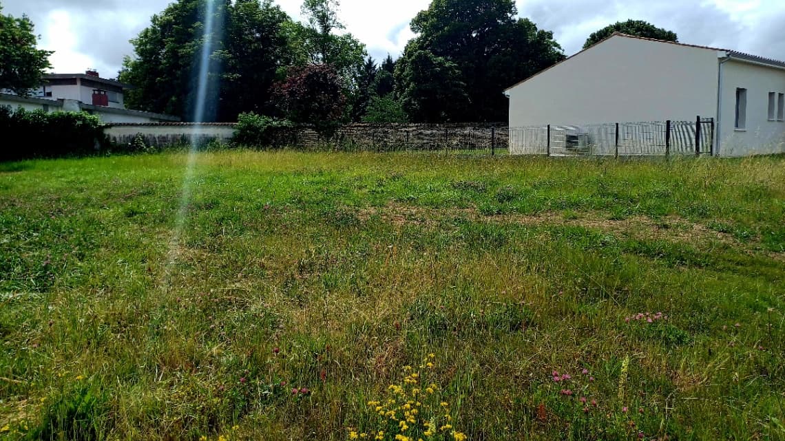 Lotissement Cognac (16) - 432m² - 52000€ (photo 6/6)