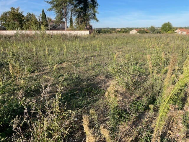 Lotissement Labastide st sernin (31) - 296m² - 100000€ (photo 1/5)