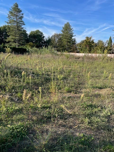 Lotissement Labastide st sernin (31) - 296m² - 100000€ (photo 3/5)