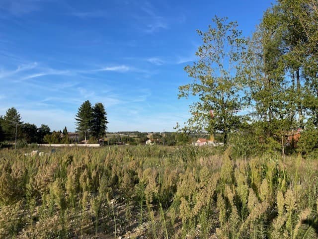 Lotissement Labastide st sernin (31) - 296m² - 100000€ (photo 2/5)