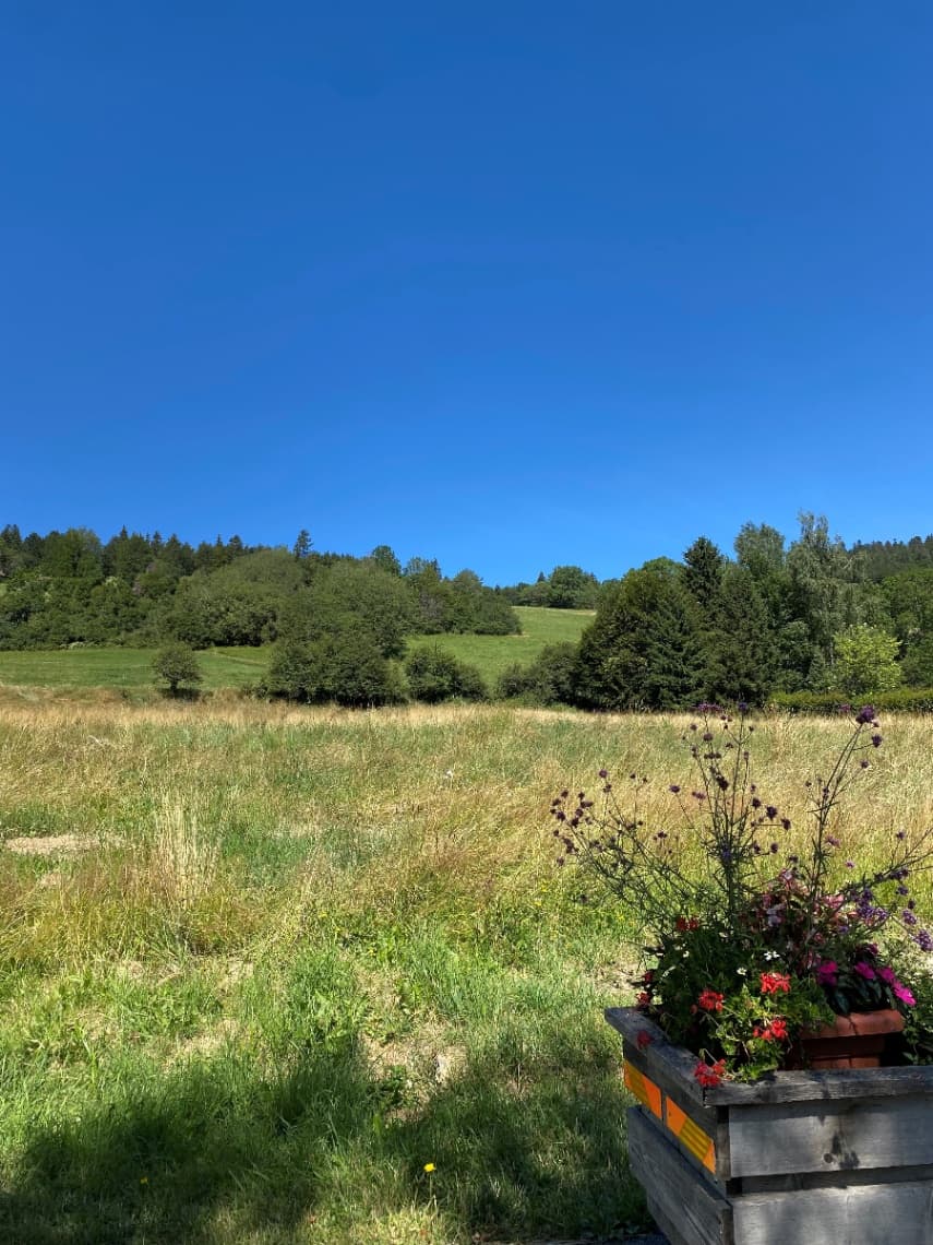 Terrain Correncon en vercors (38) - 654m² - 430000€ (photo 6/6)