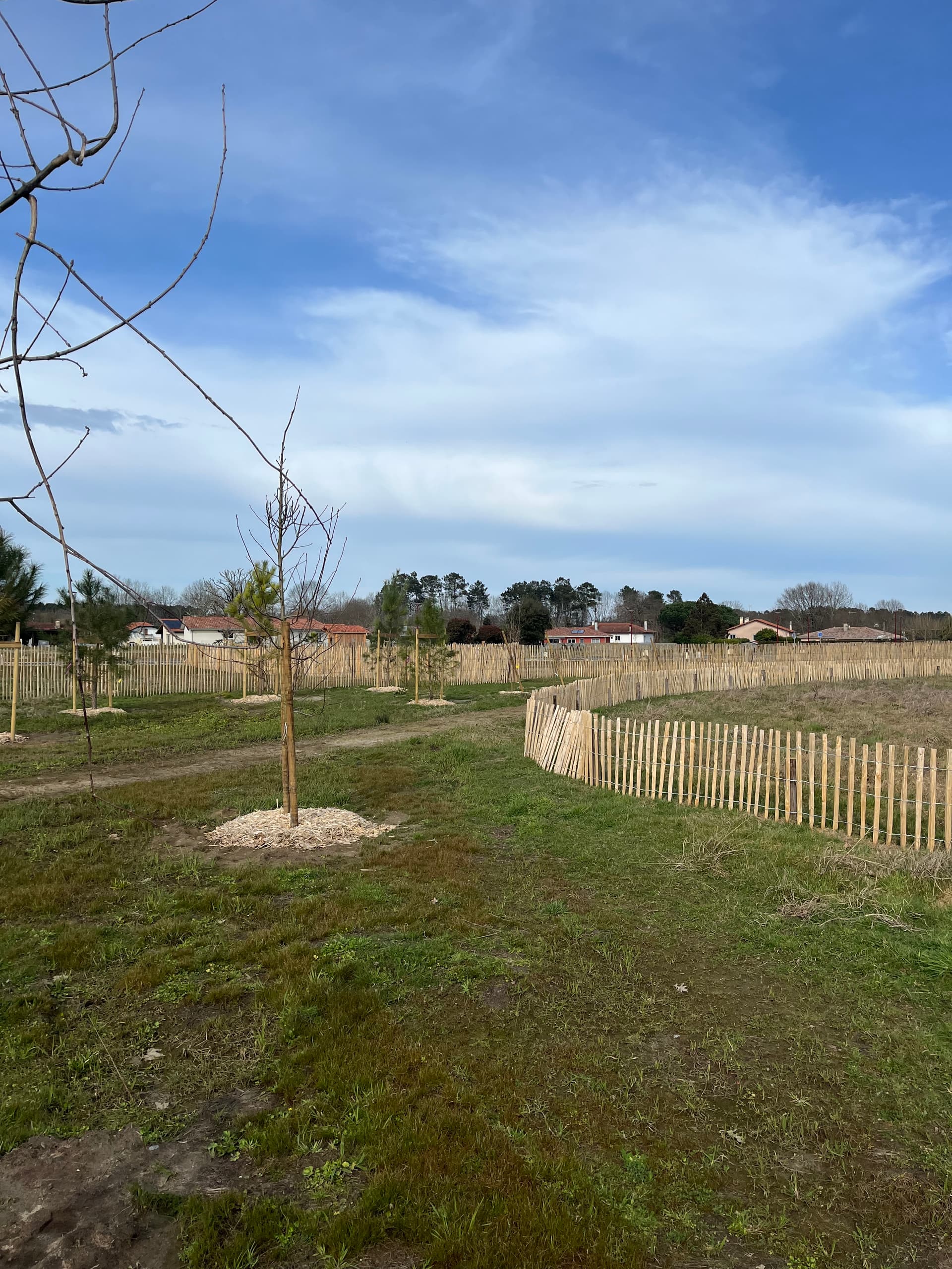 Lotissement St vincent de paul (40) - 531m² - 76995€ (photo 2/4)
