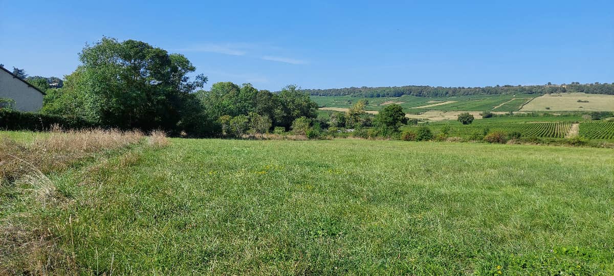 Terrain - Terrain viabilisé secteur Buxy à Buxy (71), prix 58 000 €