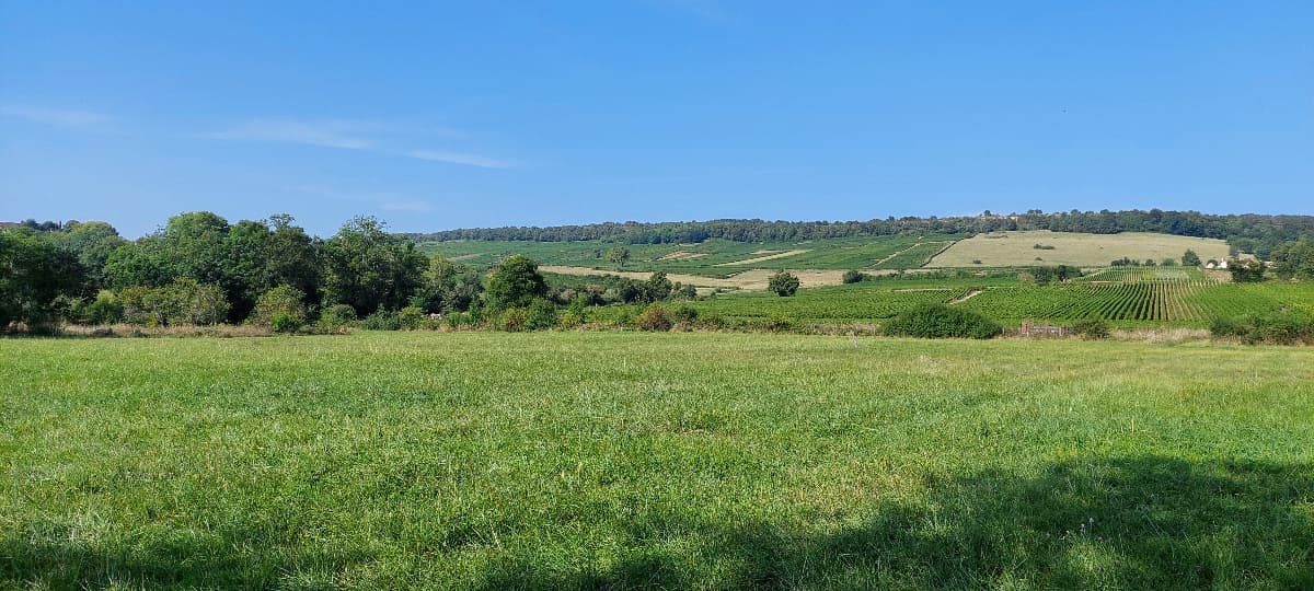 Terrain Buxy (71) - 947m² - 58000€ (photo 2/3)