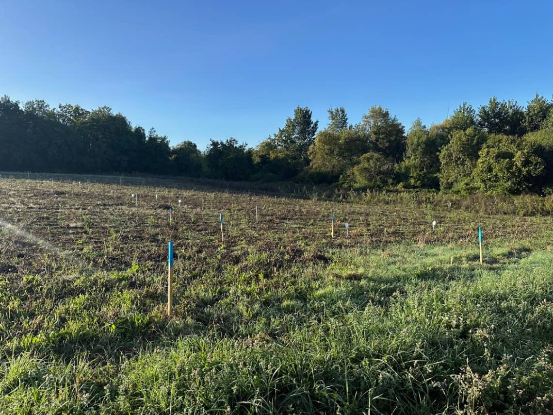 Terrain - SAINT MICHEL, 18 lots à bâtir à St michel, prix 43 000 €