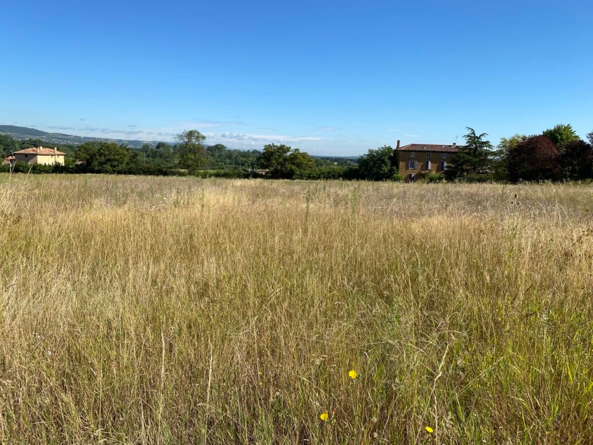 Terrain Marcilly d azergues (69) - 520m² - 232900€ (photo 2/3)