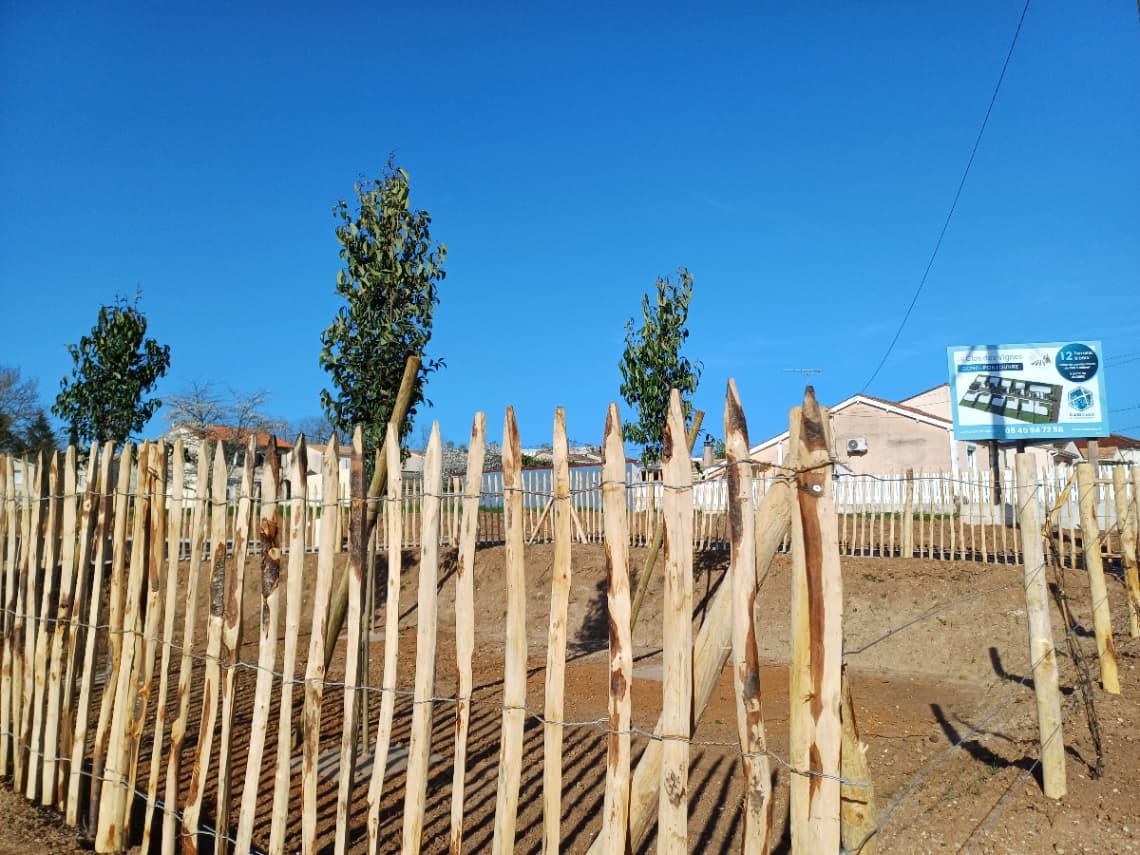 Lotissement Gond pontouvre (16) - 356m² - 43000€ (photo 3/6)