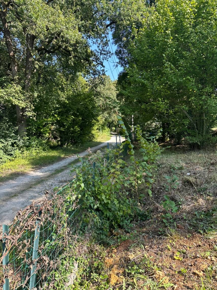 Terrain - PUYMOYEN à Puymoyen, prix 35 000 €