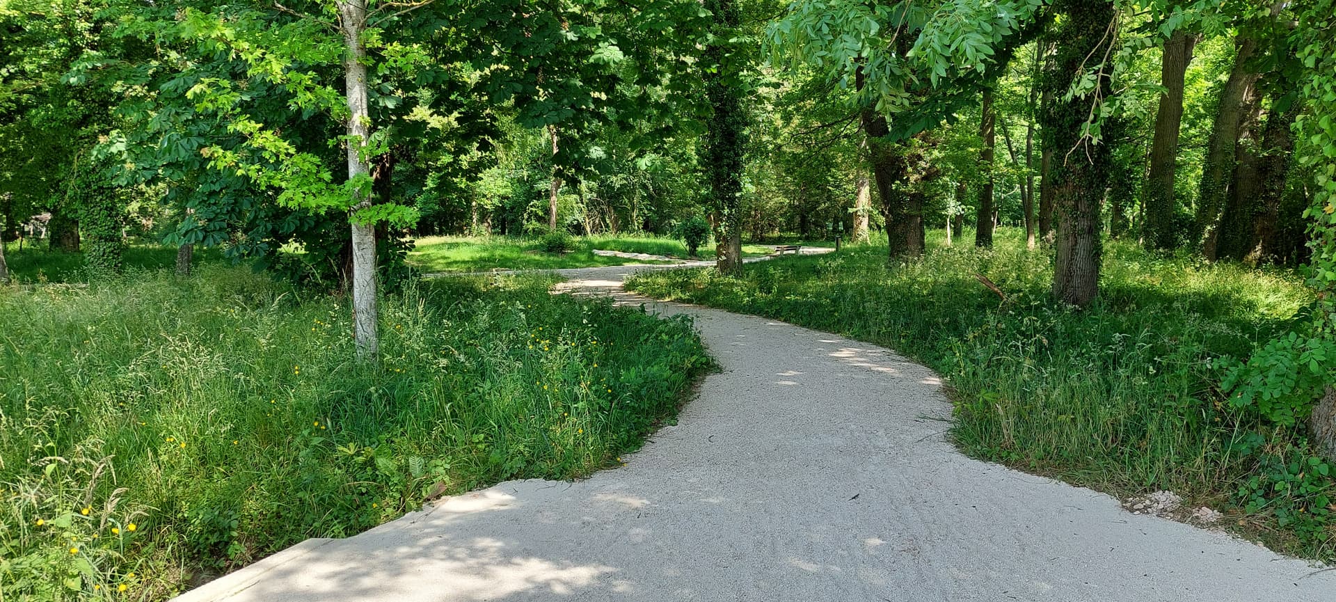 Terrain Chatenoy en bresse (71) - 1027m² - 96500€ (photo 2/5)