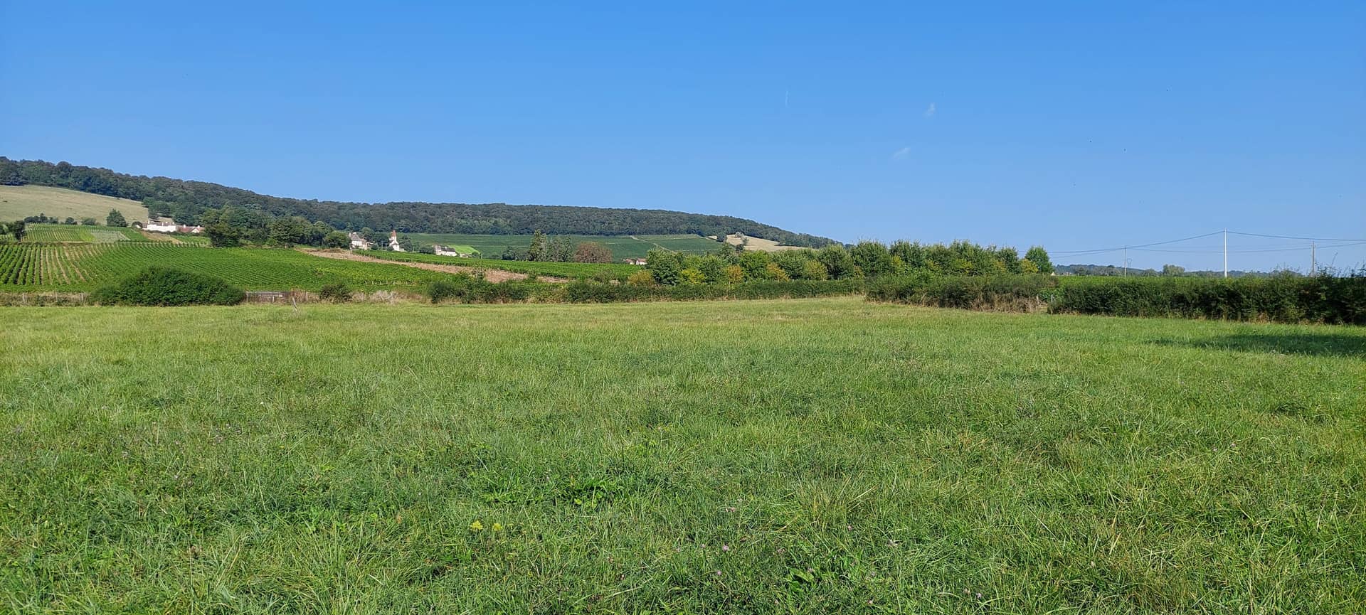 Terrain - Terrain Chenoves-Les Filletières à Chenoves (71), prix 42 000 €