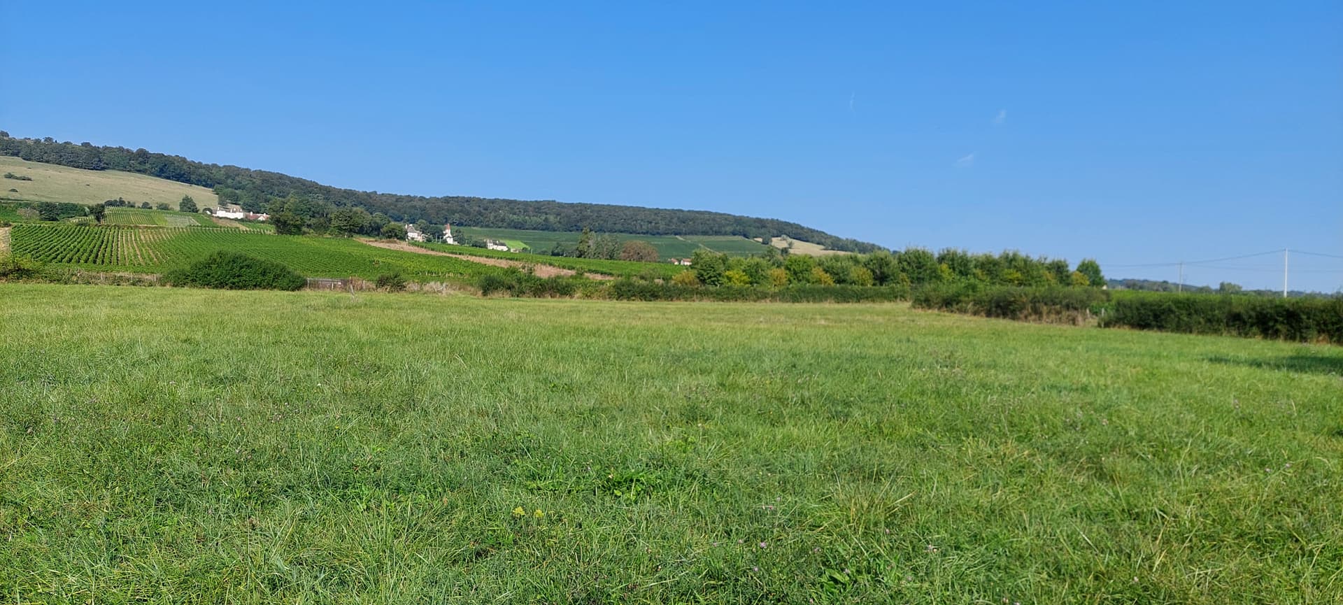 Terrain Chenoves (71) - 600m² - 42000€ (photo 2/3)