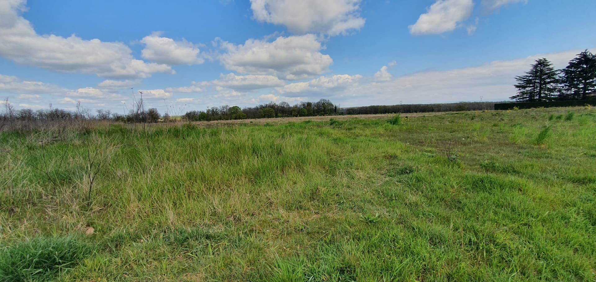 Terrain Montanay (69) - 159m² - 159000€ (photo 2/4)