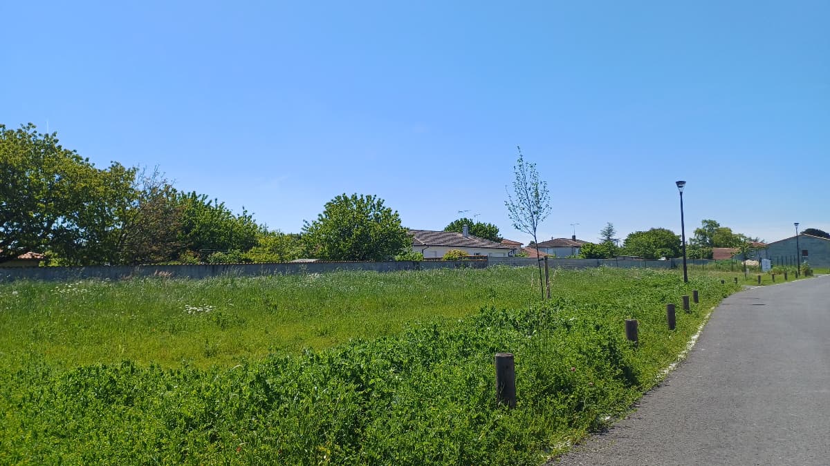 Lotissement Chateaubernard (16) - 373m² - 45900€ (photo 5/6)