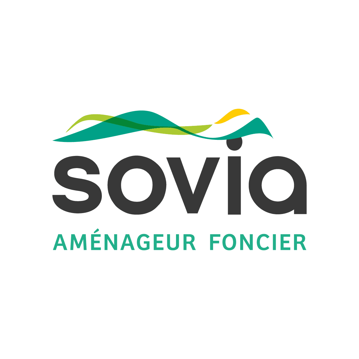 Logo de l'entreprise pour TERRAIN