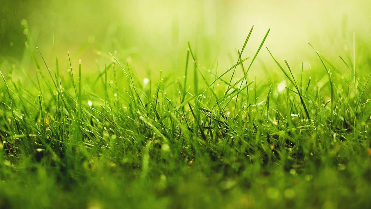 Terrain - Terrain à bâtir de 496 m2 à Pagny-sur-Moselle à Pagny Sur Moselle (54), prix 113 000 €