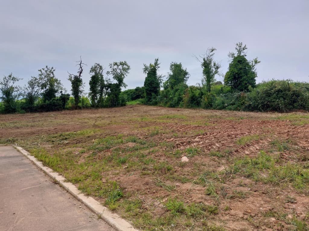 Terrain - TERRAIN à Chatenois (67), prix 180 000 €