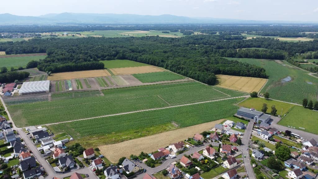 Terrain - TERRAIN à Bindernheim (67), prix 117 130 €