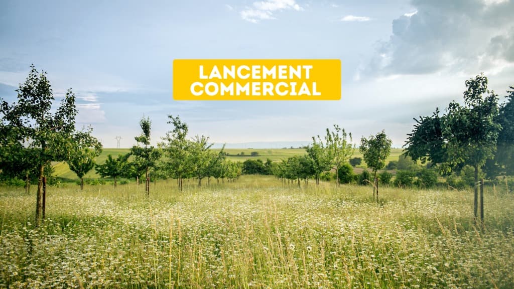 Terrain - TERRAIN à Schwobsheim Langmatten (67), prix 65 740 €