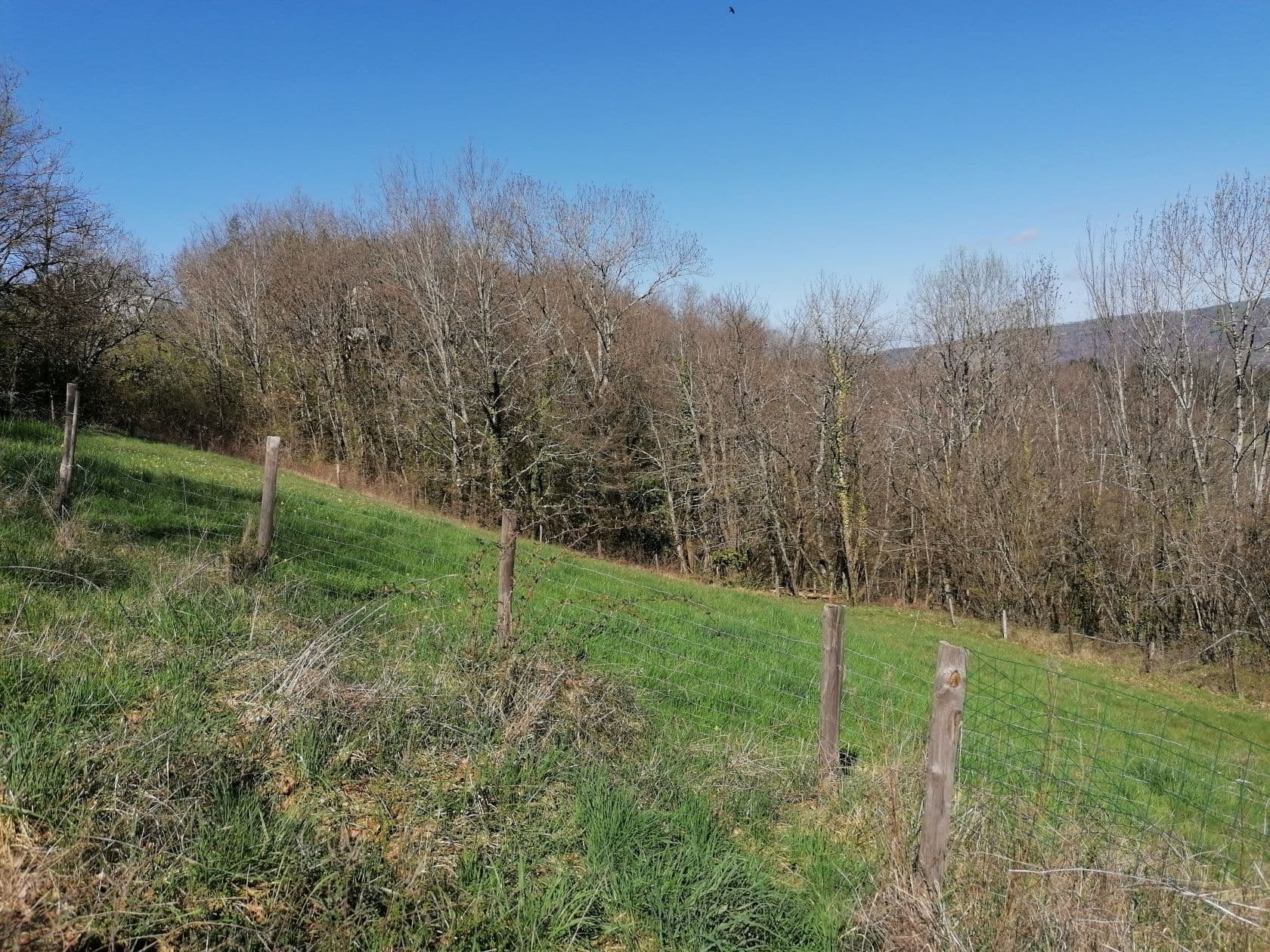 Terrain - Terrain à bâtir de 4300 m² à AUZITS à AUZITS (12), prix 45 000 €