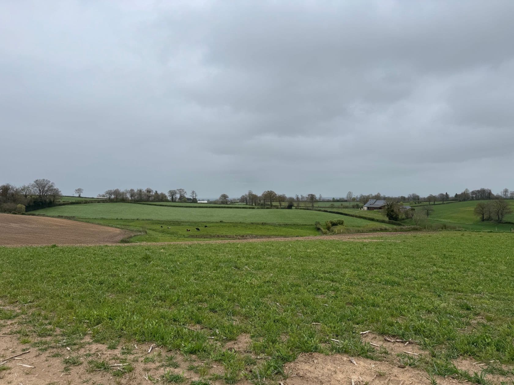 Terrain MANHAC (12) - 1000m² - 75000€ (photo 3/4)