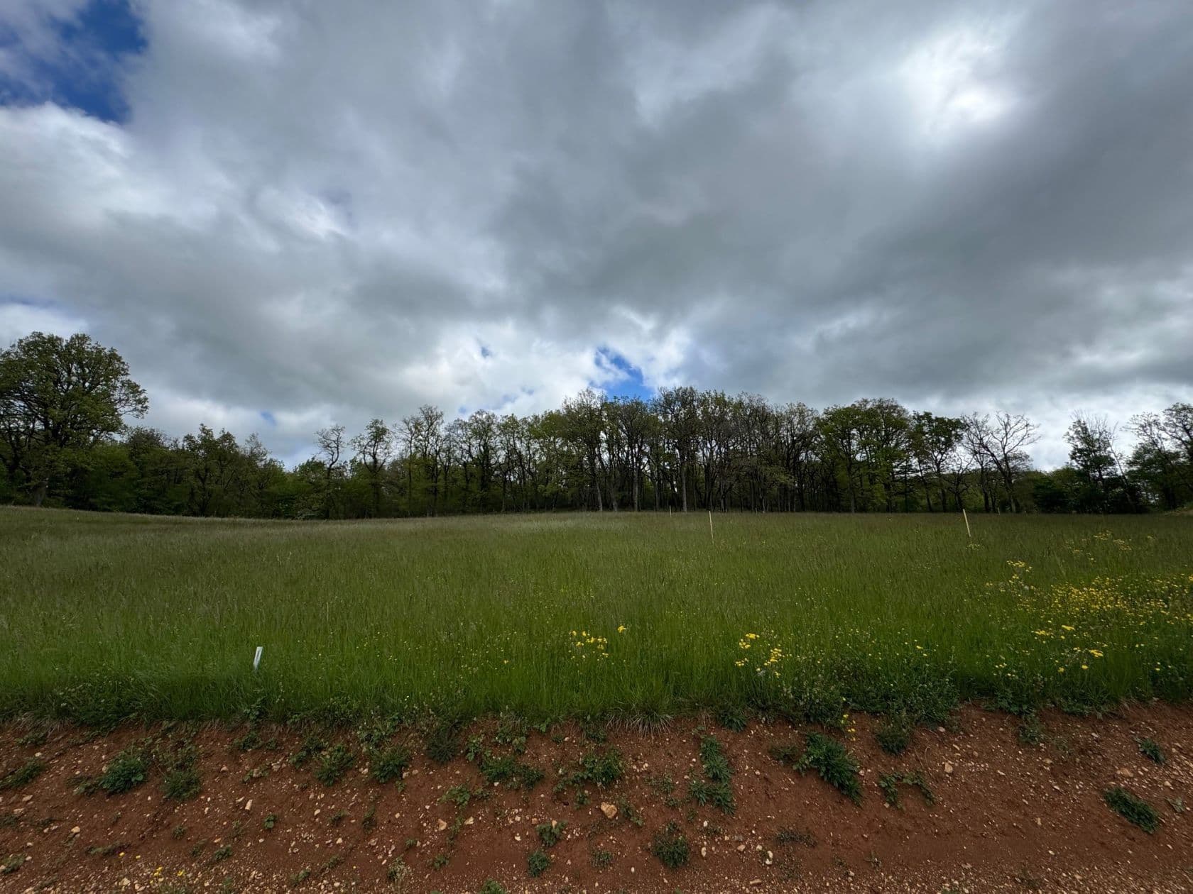 Terrain BERTHOLENE (12) - 450m² - 35000€ (photo 2/4)