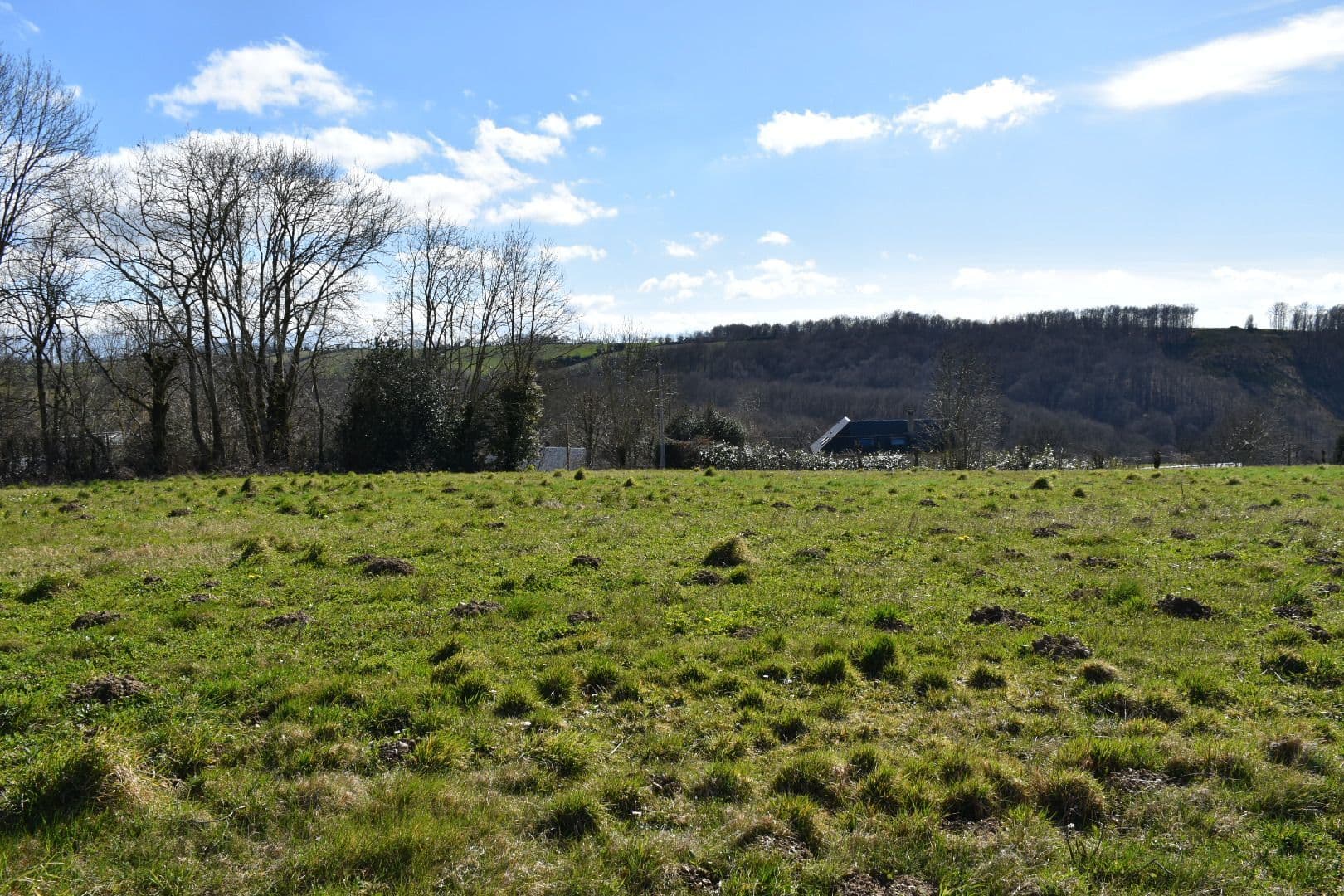 Terrain LE VIBAL (12) - 1032m² - 49000€ (photo 1/5)