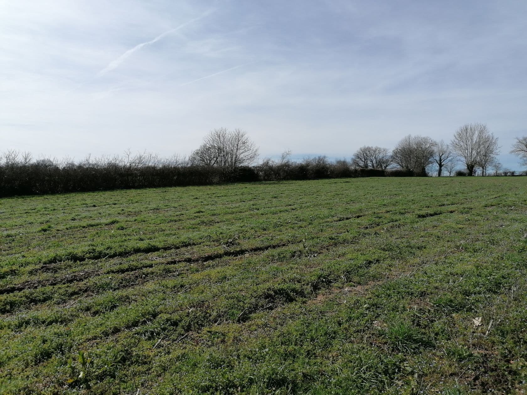 Terrain BARAQUEVILLE (12) - 780m² - 55000€ (photo 2/2)