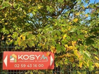 Terrain - Projet de construction d'une maison m² avec terrain à BEAULIEU-SUR-LAYON (49) à rue du fief signore (49), prix 76 200 €