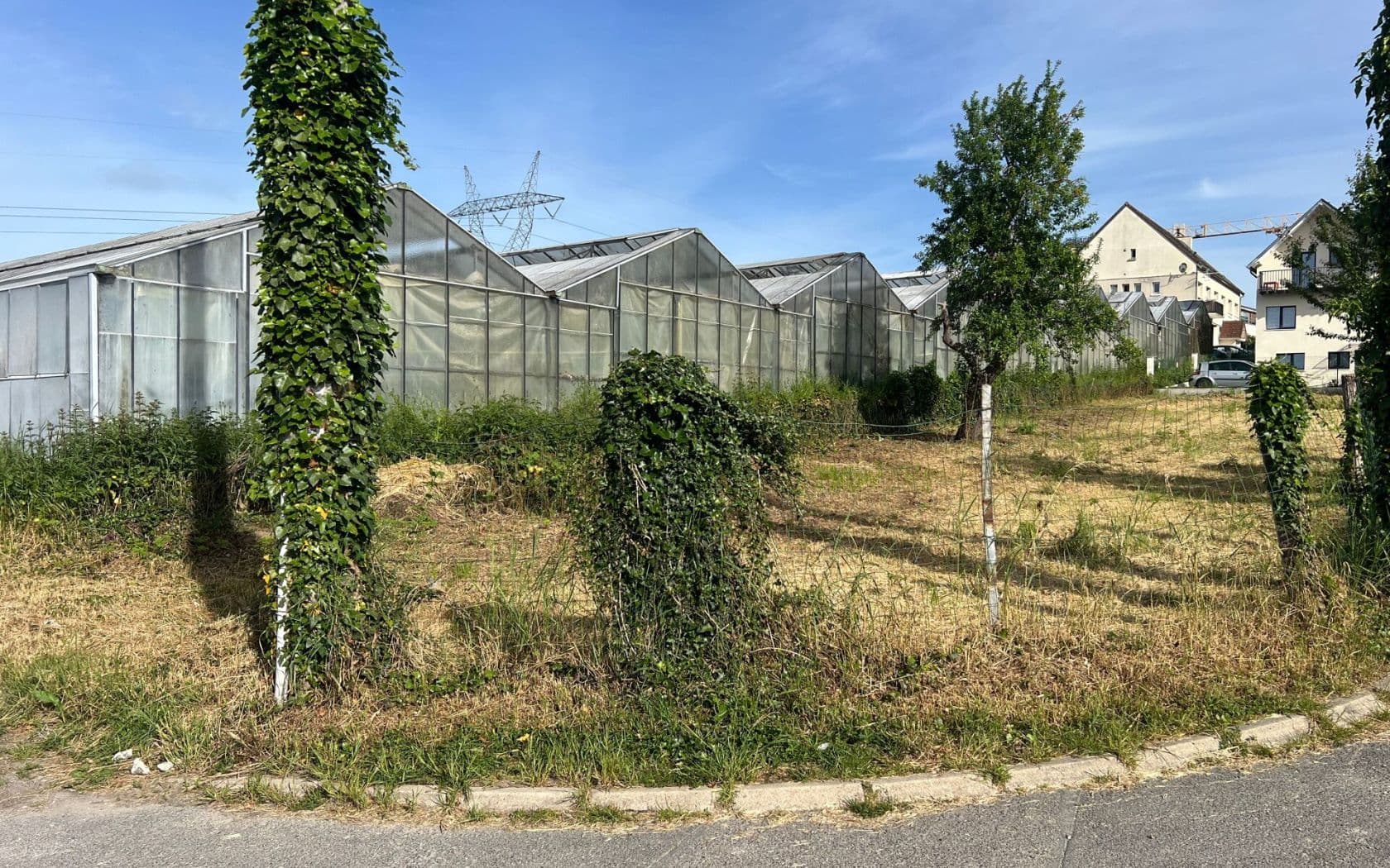 Terrain OLLAINVILLE (91) - 228m² - 130000€ (photo 1/6)