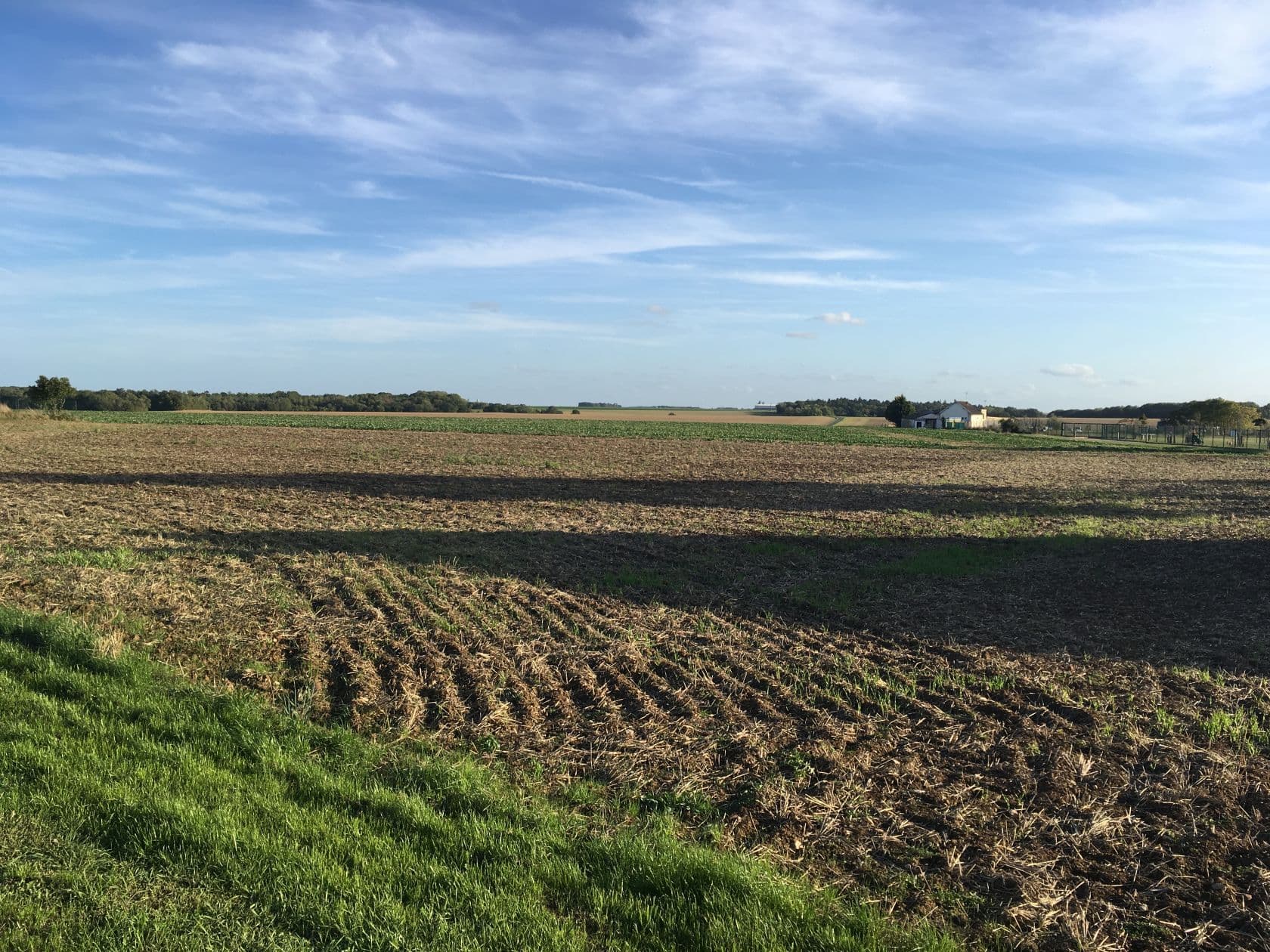 Terrain MONNERVILLE (91) - 727m² - 97000€ (photo 2/6)