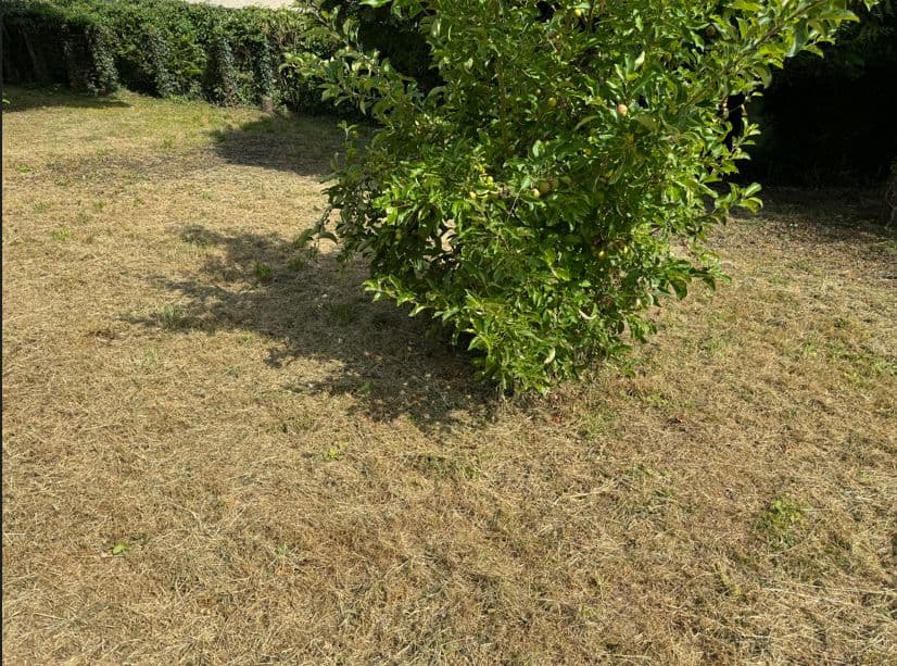 Terrain - Terrain à bâtir de 850 m² à VINNEUF (89) à VINNEUF (89), prix 39 000 €