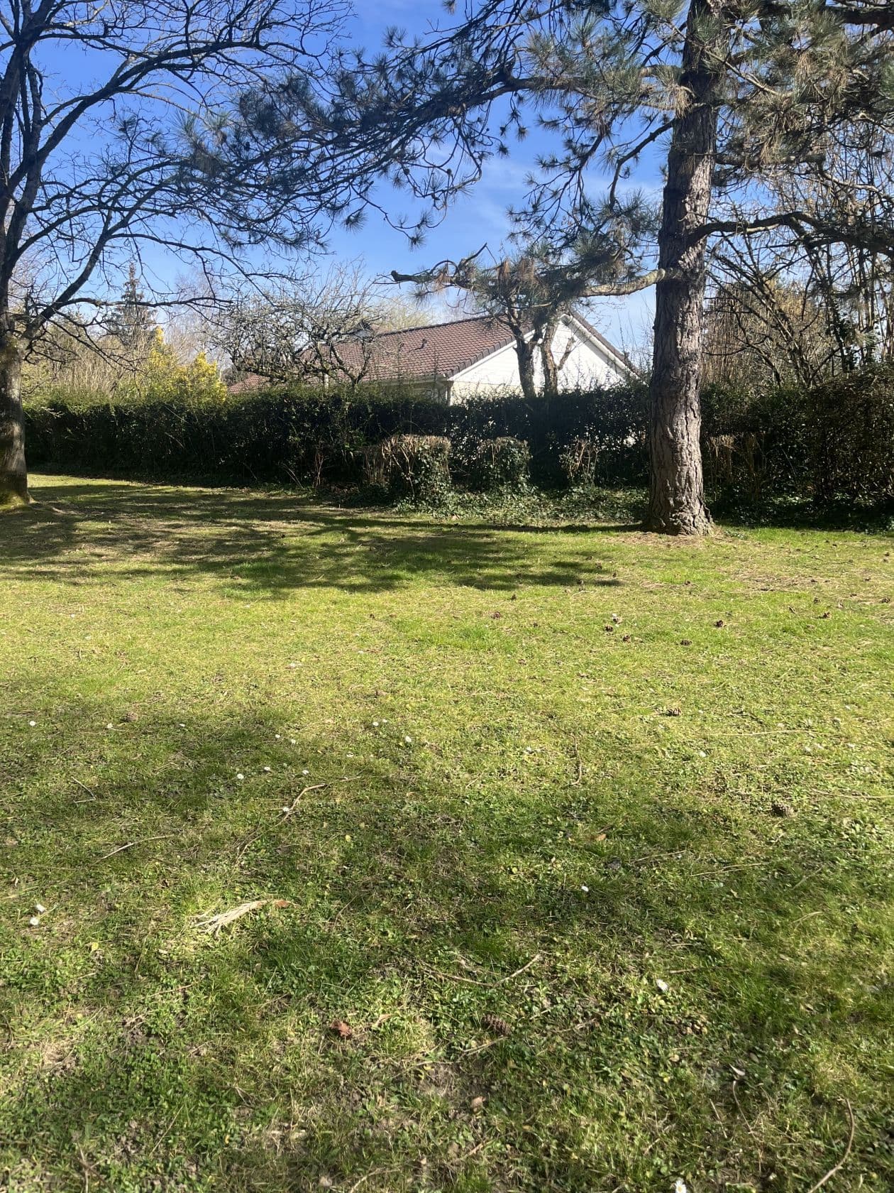 Terrain - Terrain à bâtir de 445 m² à BOISSY-SOUS-SAINT-YON (91) à BOISSY-SOUS-SAINT-YON (91), prix 155 000 €