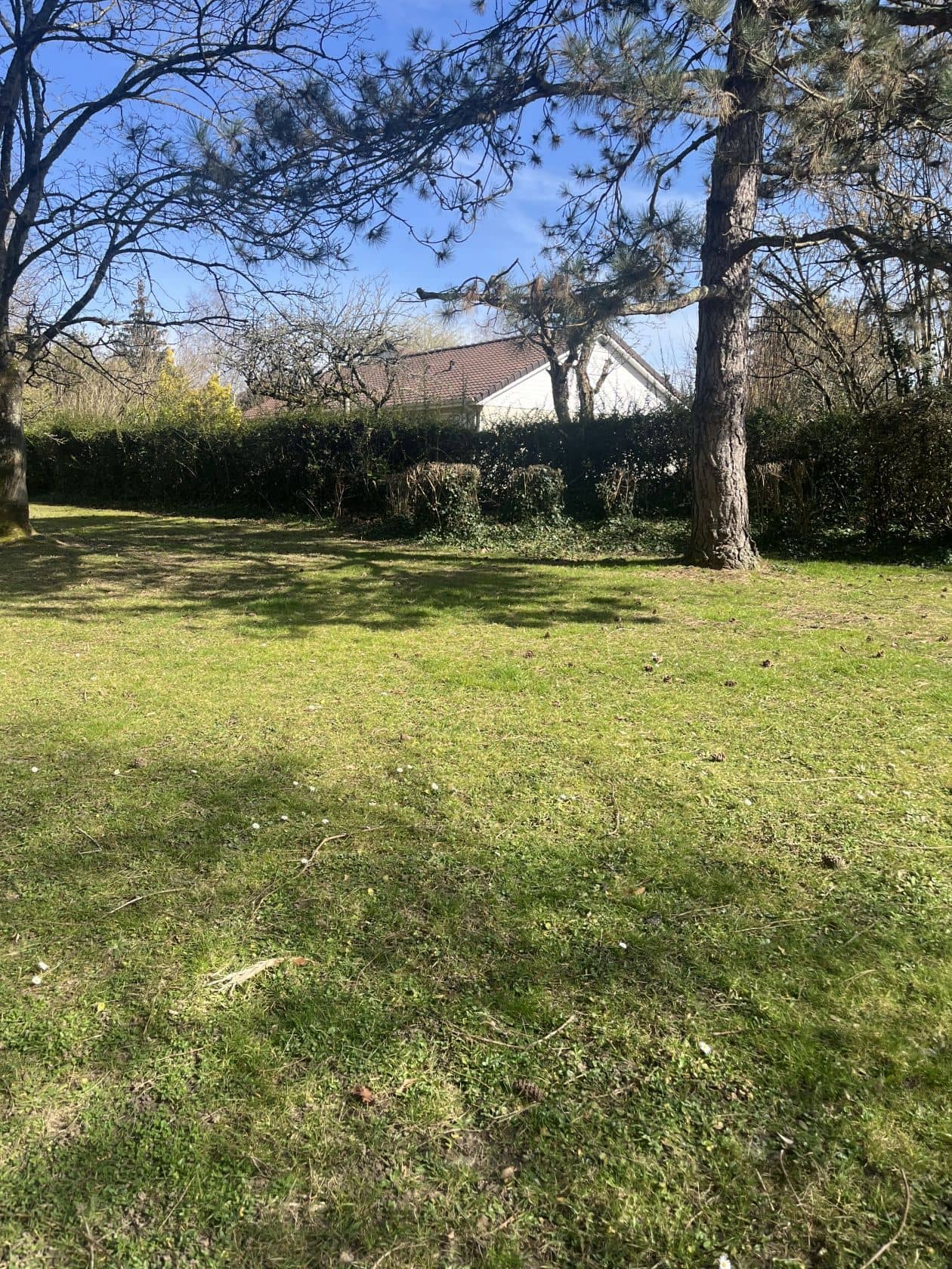 Terrain - Terrain à bâtir de 505 m² à GIF-SUR-YVETTE (91) à GIF-SUR-YVETTE (91), prix 330 000 €