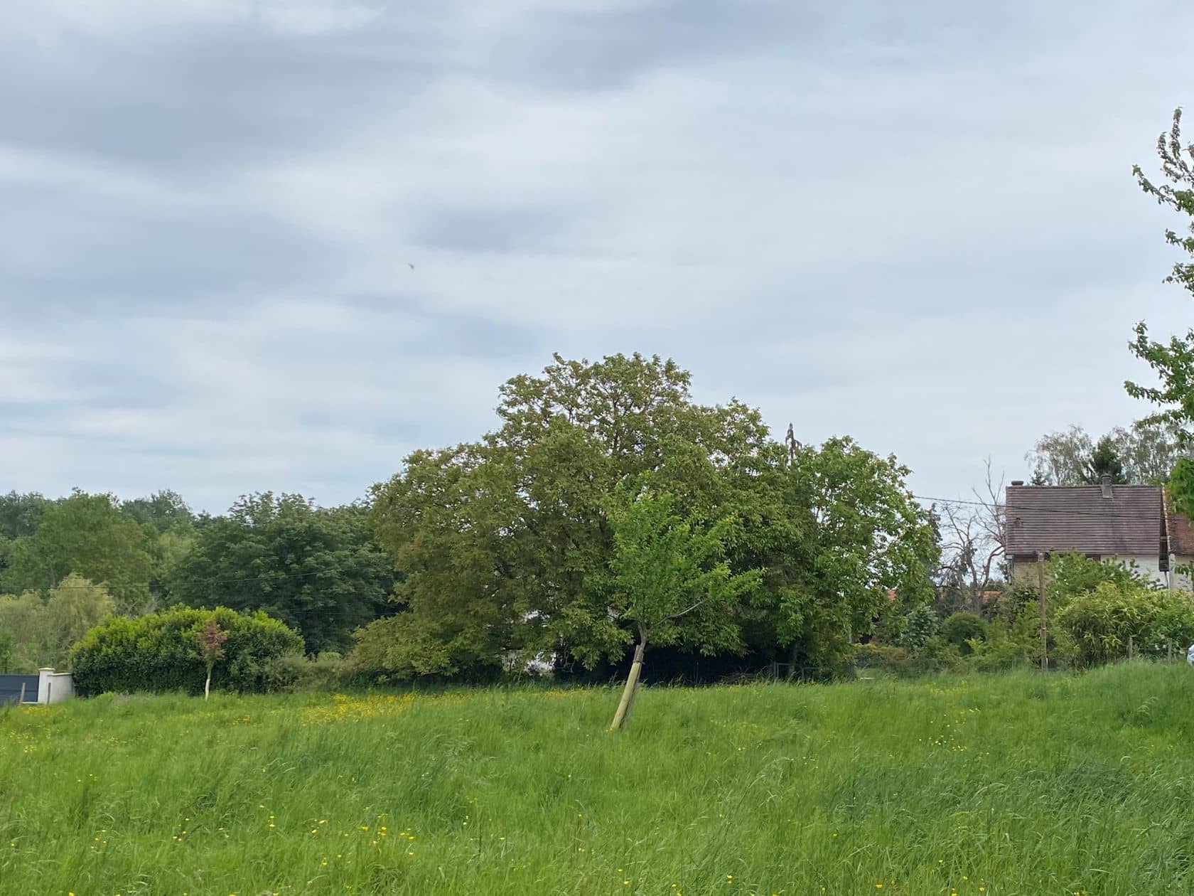 Terrain - Terrain à bâtir de 739 m² à MAISONCELLES-EN-BRIE (77) à MAISONCELLES-EN-BRIE (77), prix 120 000 €