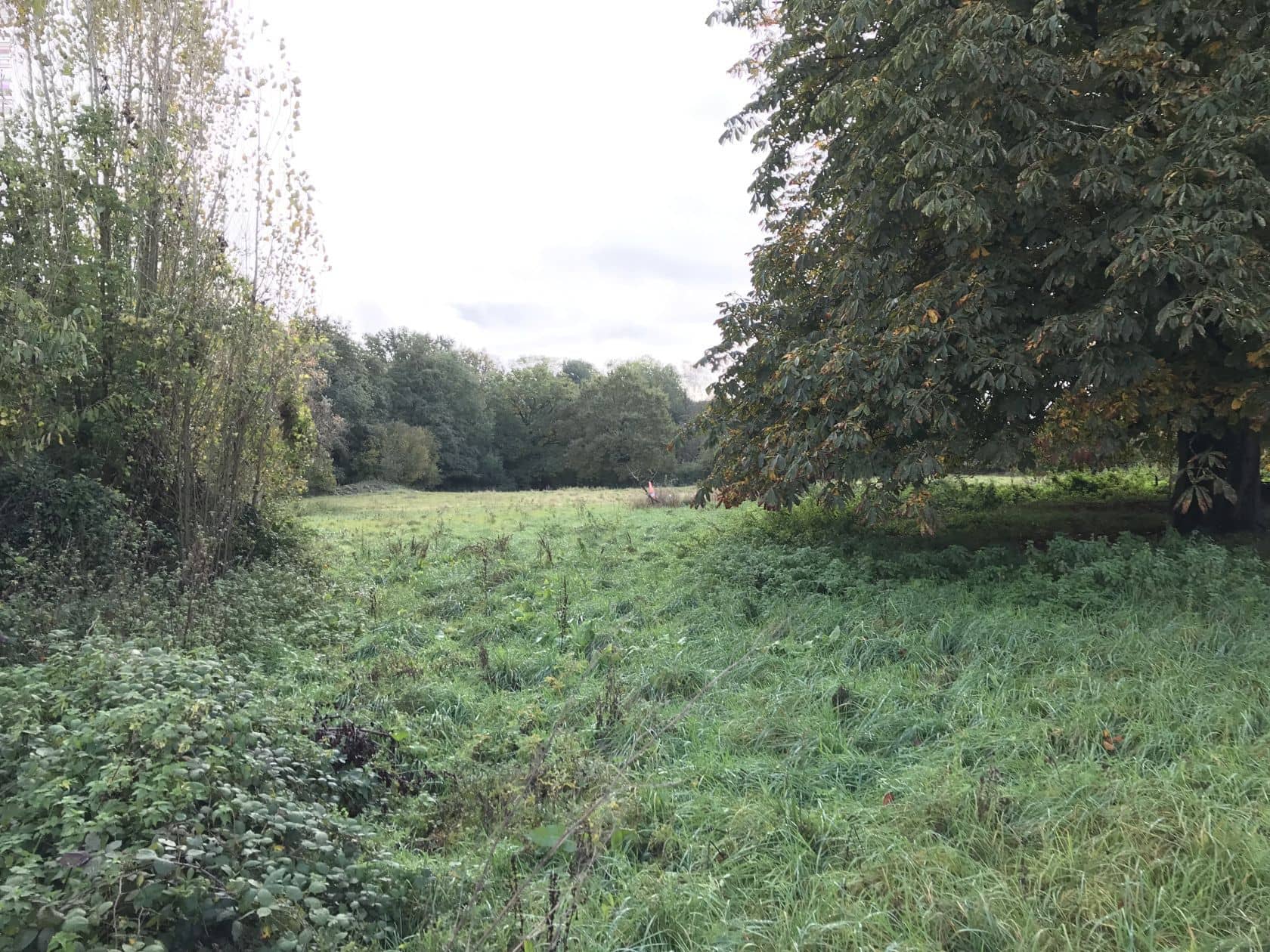 Terrain - Terrain à bâtir de 220 m² à DAMMARTIN-SUR-TIGEAUX (77) à DAMMARTIN-SUR-TIGEAUX (77), prix 65 000 €