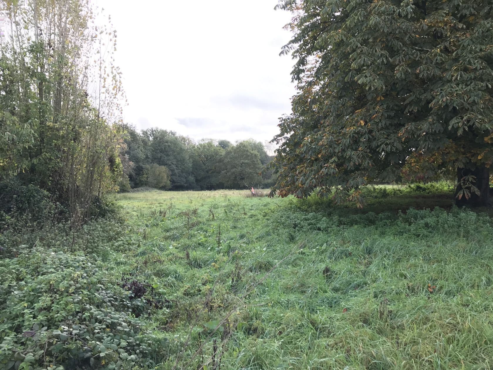 Terrain - Terrain à bâtir de 220 m² à DAMMARTIN-SUR-TIGEAUX (77) à DAMMARTIN-SUR-TIGEAUX (94), prix 65 000 €