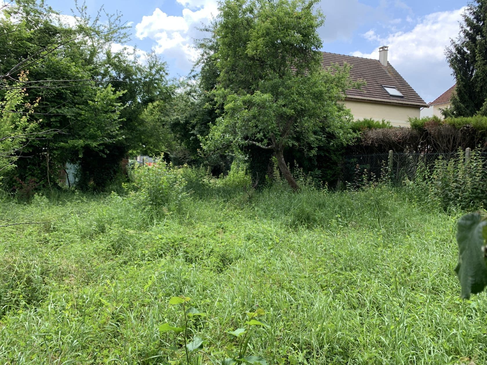 Terrain BREUX-JOUY (91) - 310m² - 118000€ (photo 3/6)