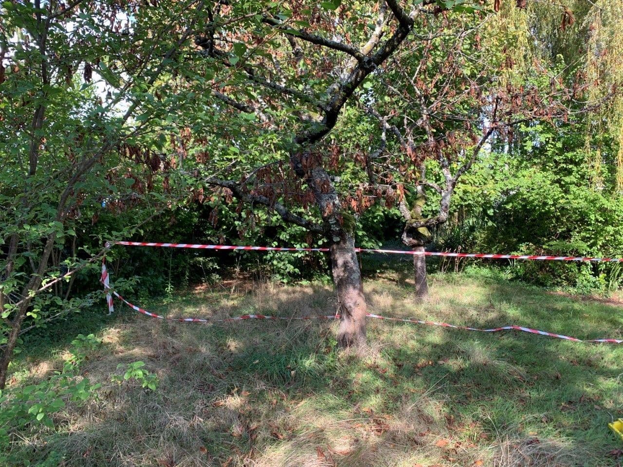 Terrain BREUX-JOUY (91) - 310m² - 118000€ (photo 1/6)