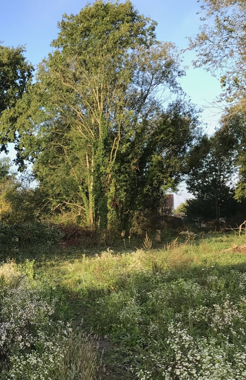 Terrain - Terrain à bâtir de 500 m² à LIMOGES-FOURCHES (77) à 5 RUE DE BOUGAINVILLE (77), prix 125 000 €