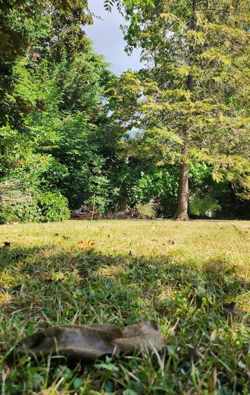 Terrain - Terrain à bâtir de 369 m² à VIGNEUX-SUR-SEINE (91) à 45 rue des coquelicots (91), prix 159 000 €