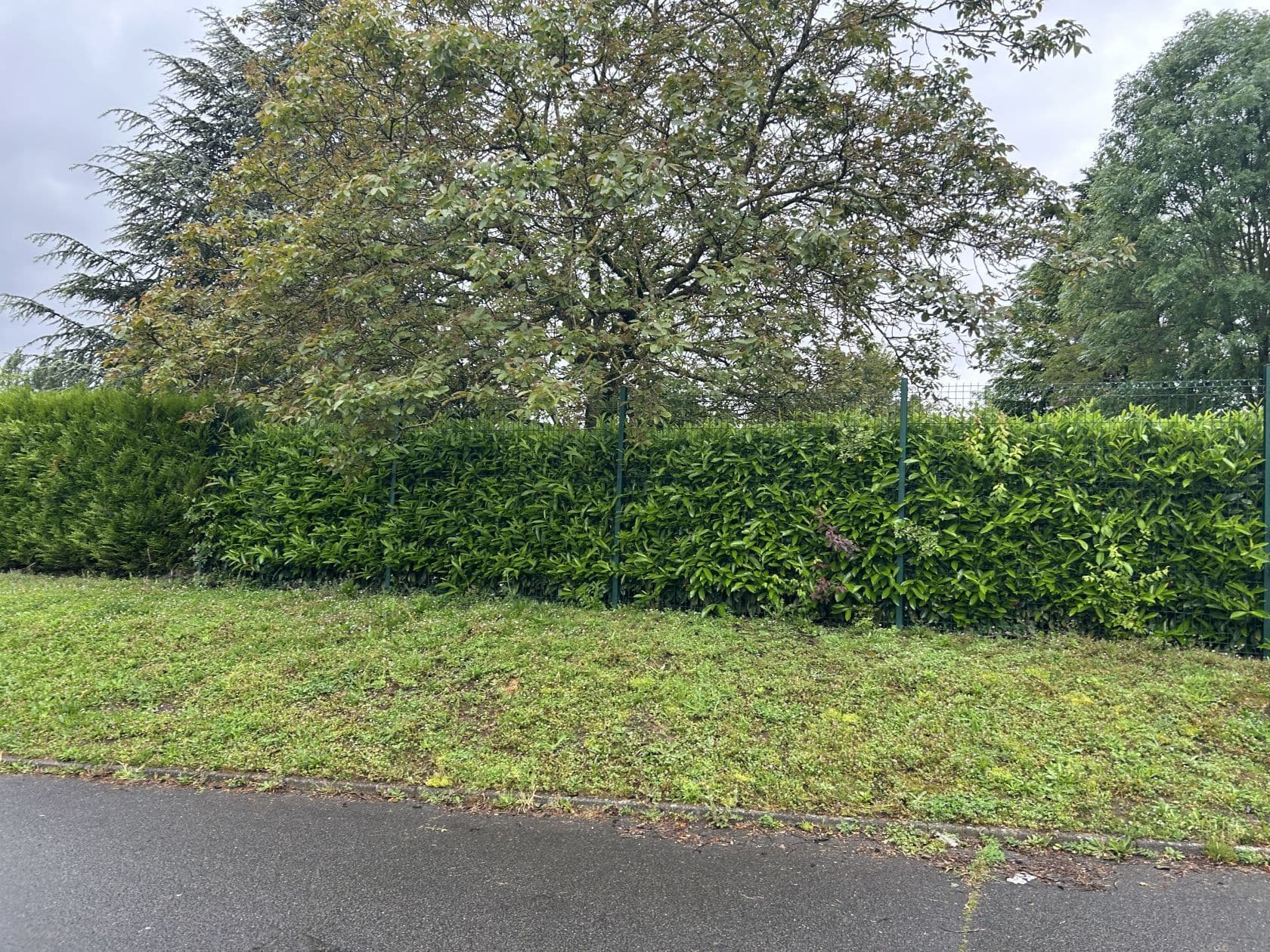 Terrain - Terrain à bâtir de 531 m² à BERNES-SUR-OISE (95) à rue du val d'oise (95), prix 139 000 €